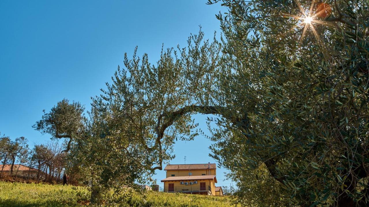 B&B la casa del vino Tollo Exterior foto